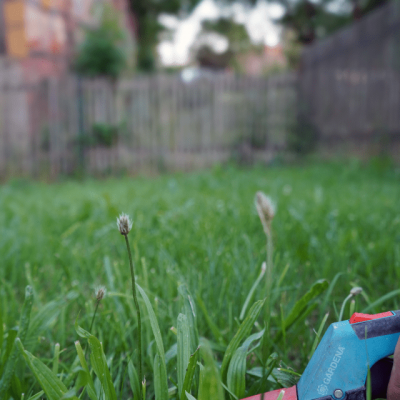 Gardena_Grasschere_kleiner